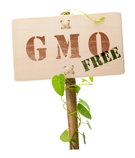 canva-gmo-free-sign-MAC5K3vkKl0